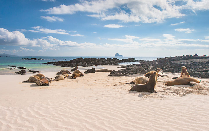 Iles Galapagos (Baltra)
