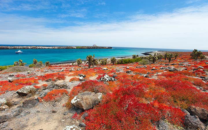 Iles Galapagos (Baltra)