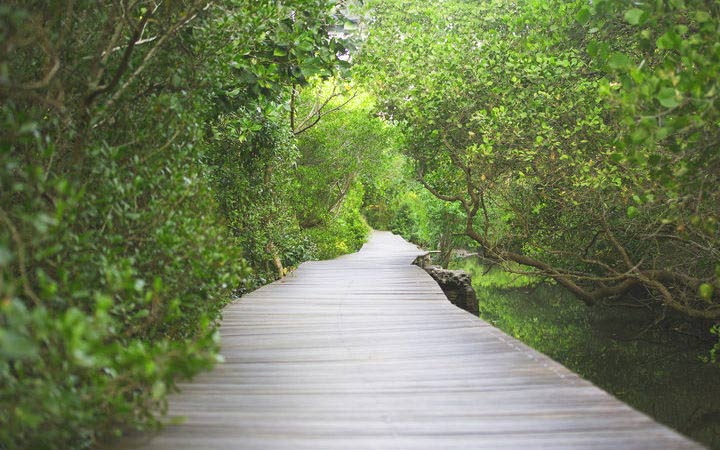 Escale Benoa