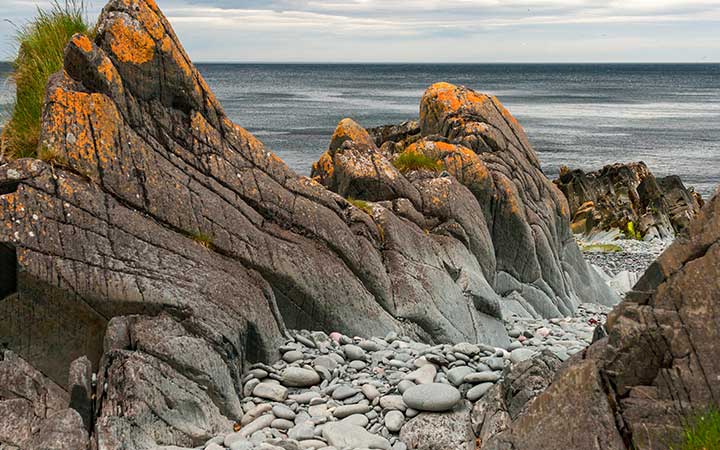 Cap Nord (Berlevag)