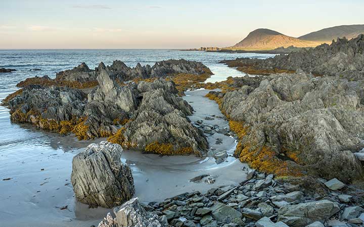 Cap Nord (Berlevag)