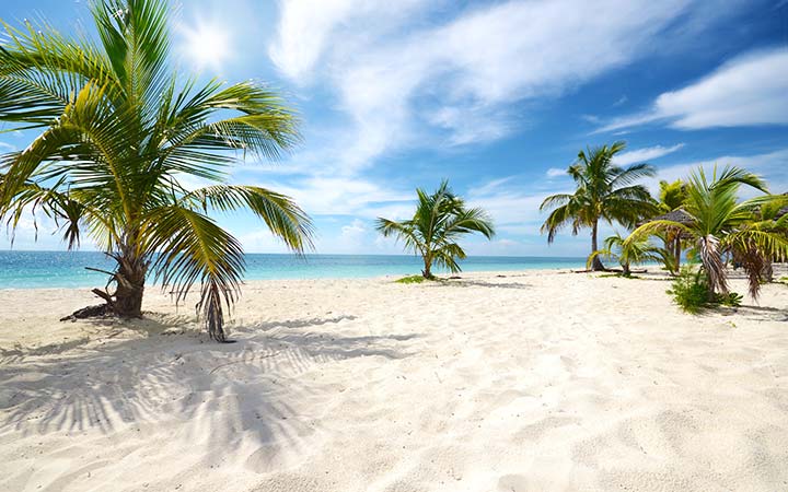 Bahamas (Bimini)