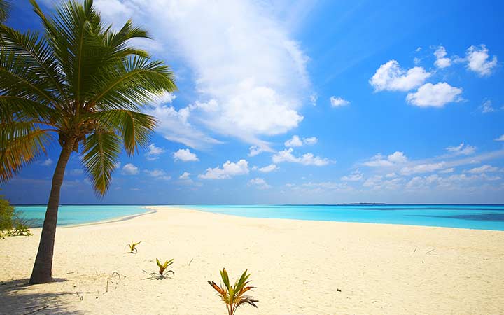 Bahamas (Bimini)