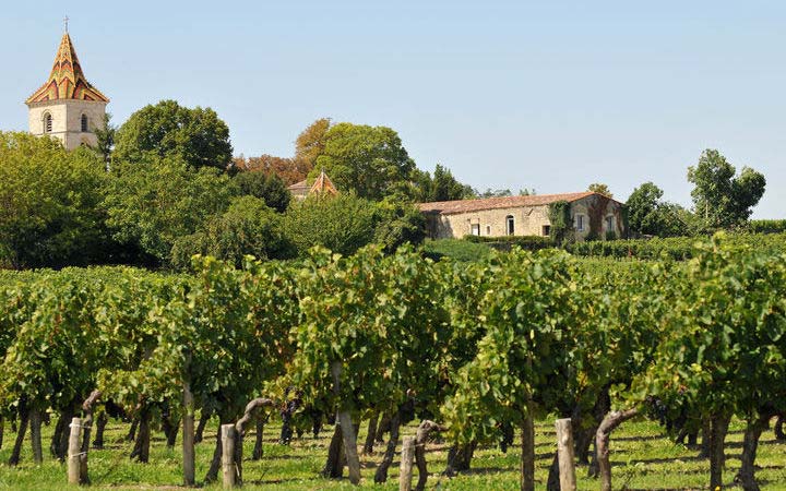 Blaye - Libourne - Saint-Emilion