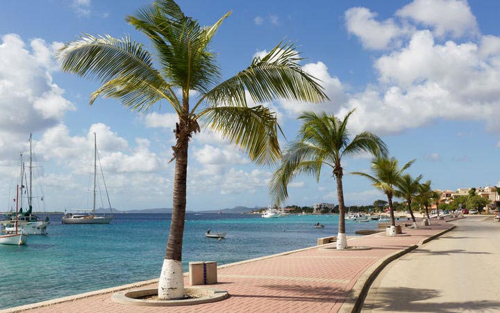 Antilles (Bonaire)
