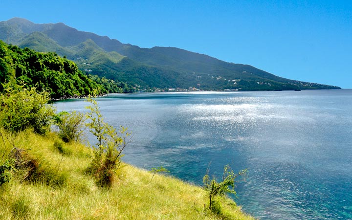 MALENDURE - BOUILLANTE