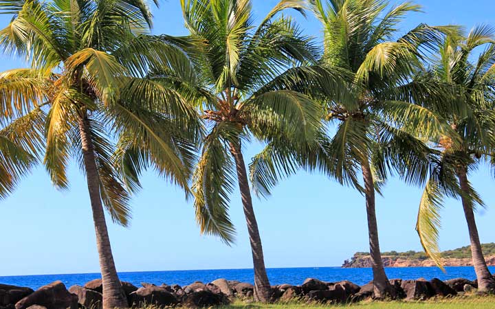 MALENDURE - BOUILLANTE