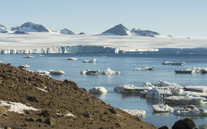 Antarctique (Baie Marguerite)