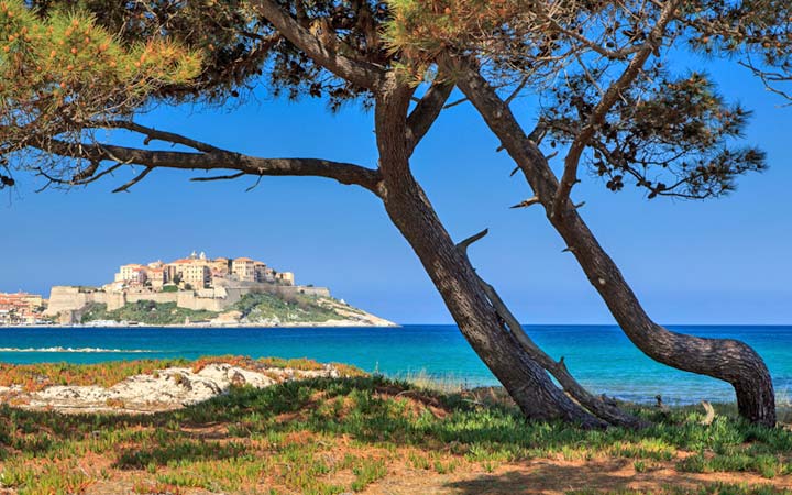 Corse (Calvi)