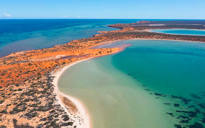 Australie (Cap Péron)