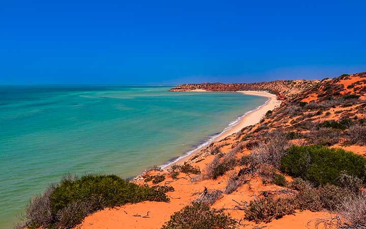 Australie (Cap Péron)