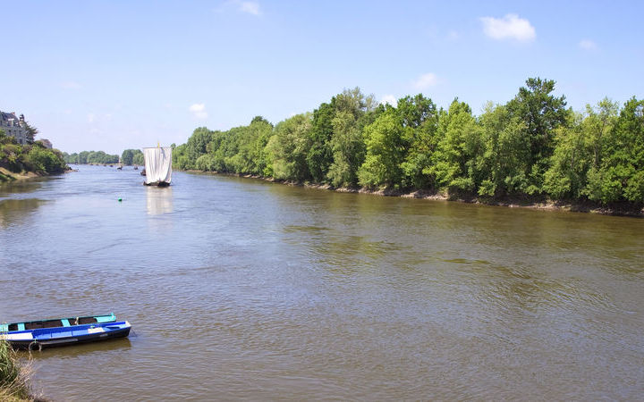 CHALONNES-SUR-LOIRE - Châteaux de la Loire - NANTES