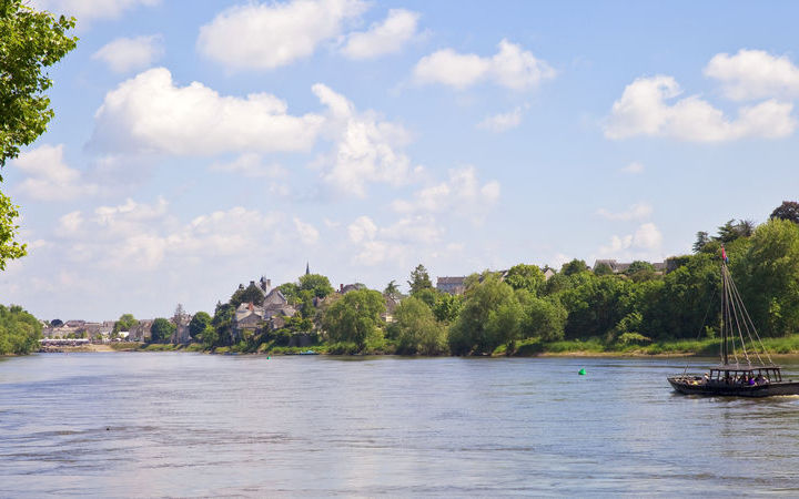CHALONNES-SUR-LOIRE - Châteaux de la Loire - NANTES