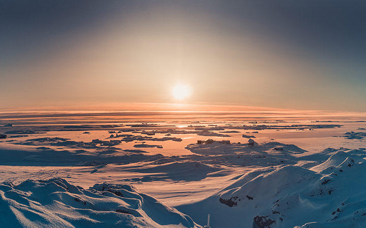 Antarctique (Ile Charcot)