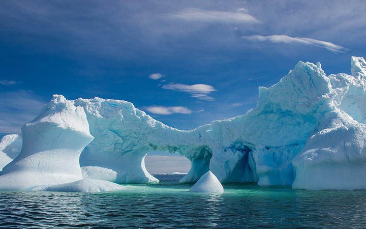 Antarctique (Ile Charcot)
