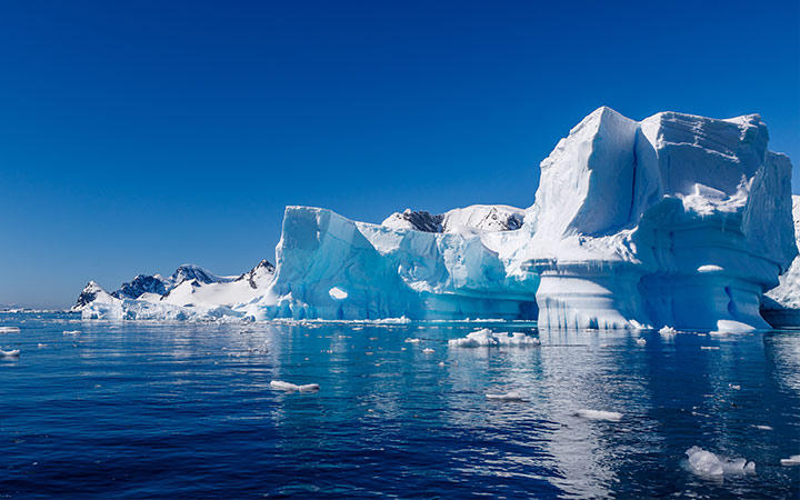 Antarctique (Ile Charcot)