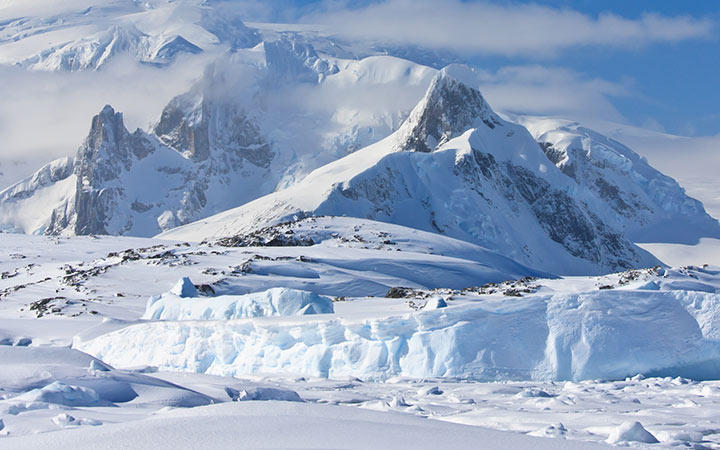 Antarctique (Ile Charcot)