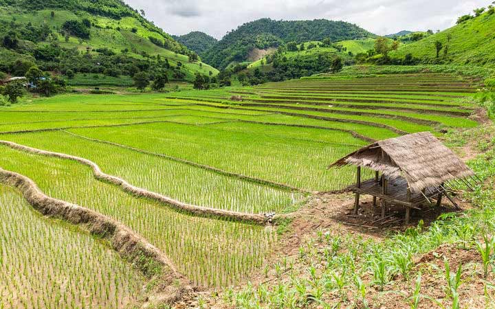 Thaïlande (Chiang Khong, Chiang Rai)