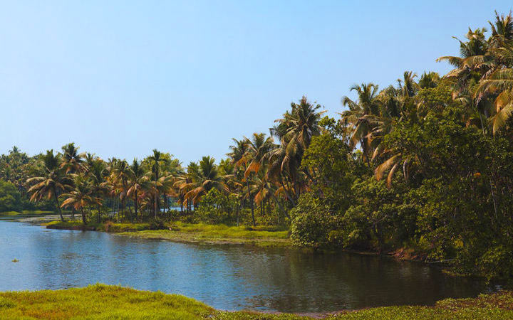 Inde (Cochin)