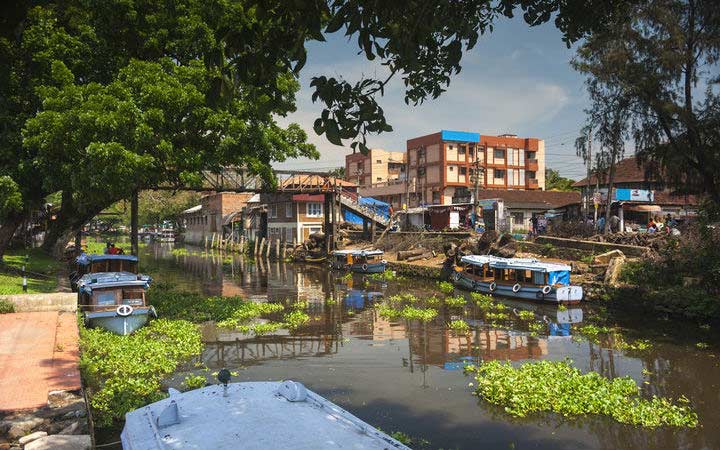 Inde (Cochin)