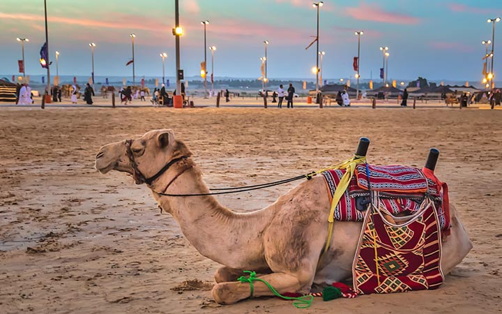 Arabie Saoudite (Dammam)