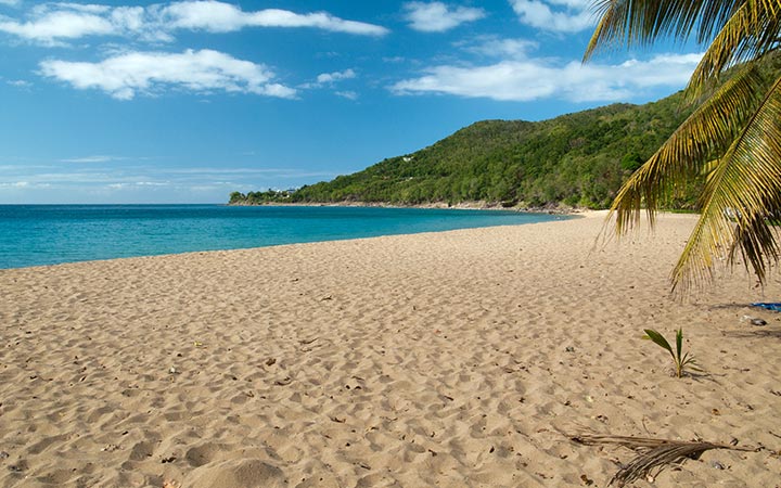Guadeloupe (Deshaies)