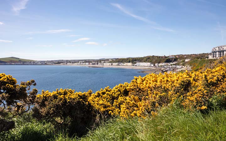 Angleterre (Douglas)