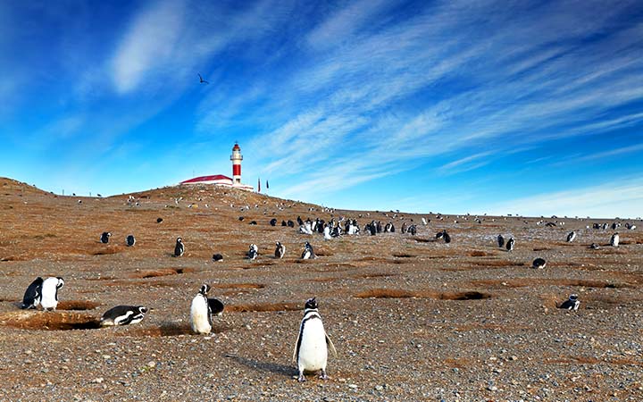 Détroit de Magellan (Chili)