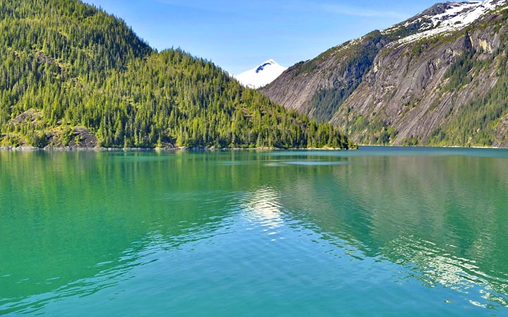 Alaska (Endicott Arm Fjord)