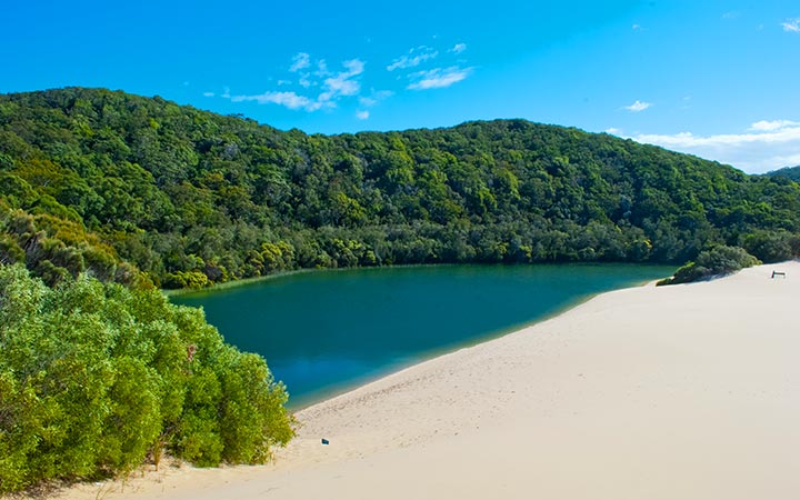 Australie (Fraser Island)