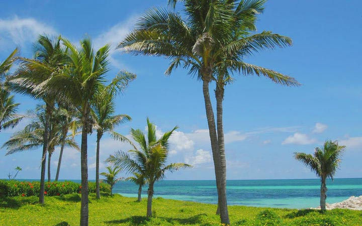 Bahamas (Freeport)