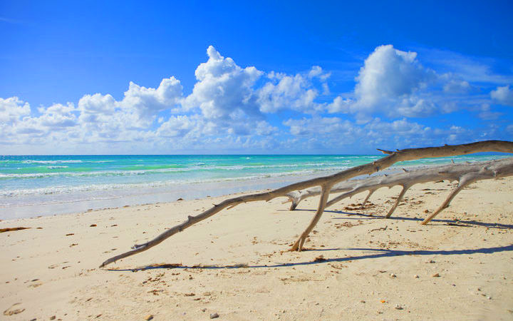 Bahamas (Freeport)