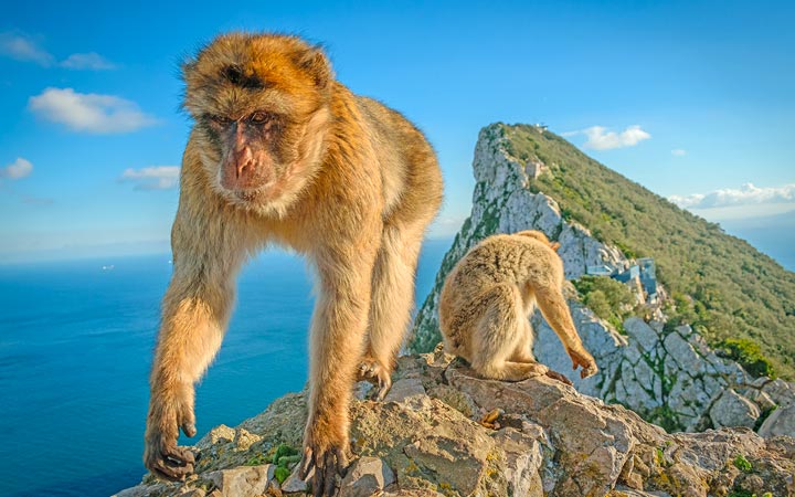 Gibraltar