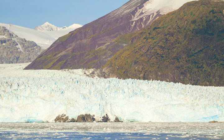 Chili (Glacier Amalia)