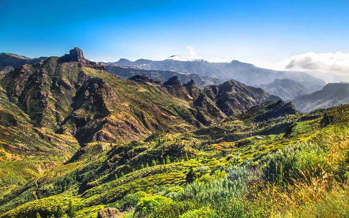 Iles Canaries (Gran Canaria)
