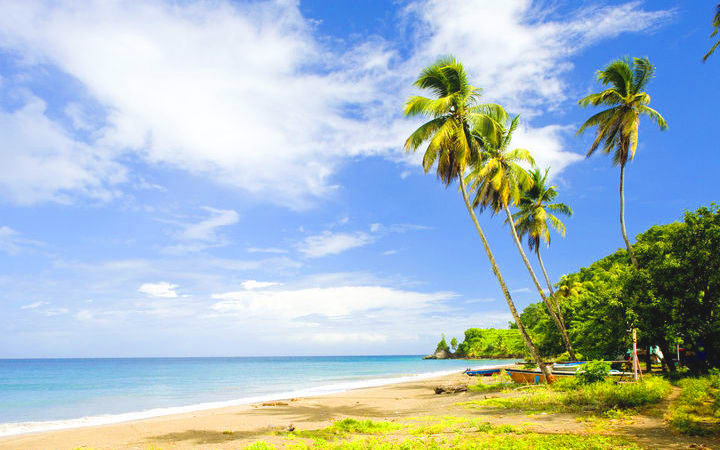 Antilles (Grenade)