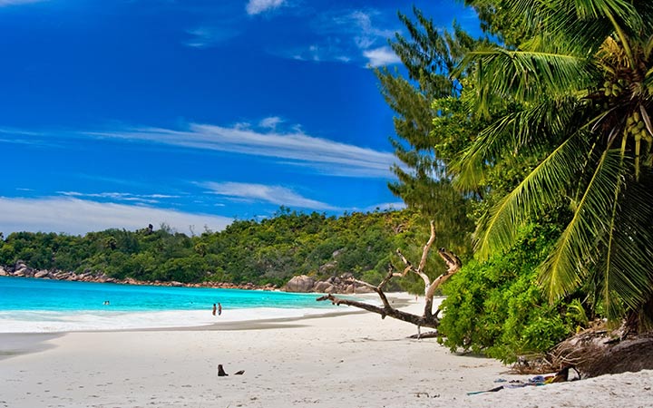 Iles Salomon (Guadalcanal)