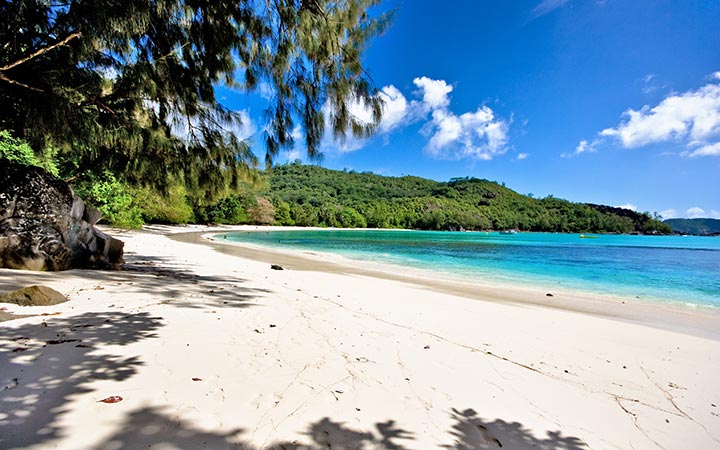 Iles Salomon (Guadalcanal)