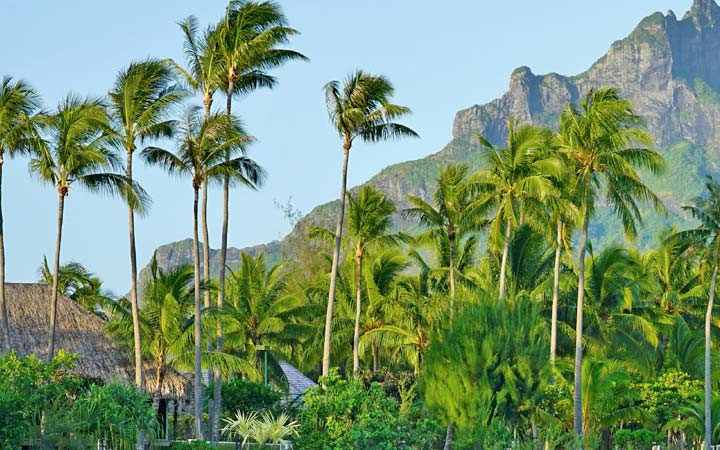 Iles Marquises (Hakahetau)