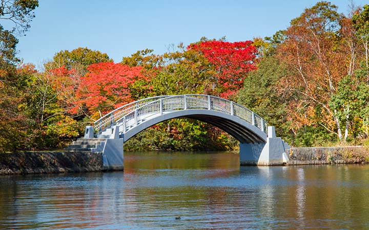 Japon (Hakodate)