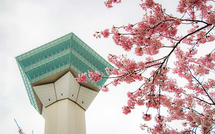 Japon (Hakodate)