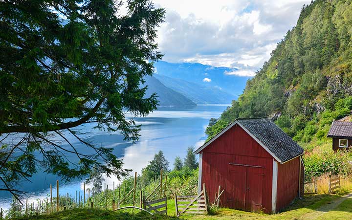 Norvège (Hardangerfjord)