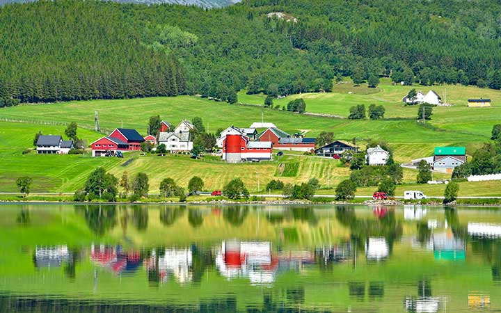 Norvège (Hardangerfjord)