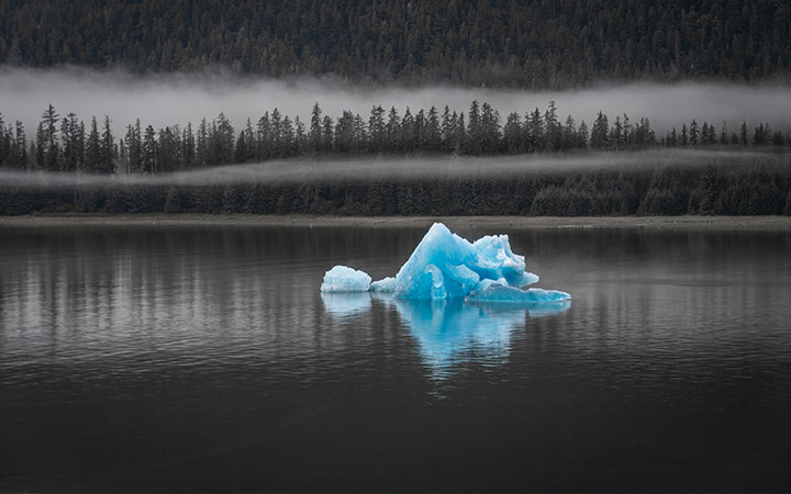 Alaska (Holkham Bay Glacier)