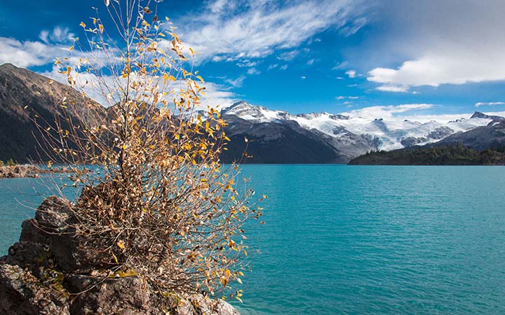 Alaska (Holkham Bay Glacier)