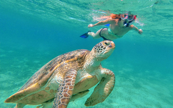 Egypte (Hurghada)