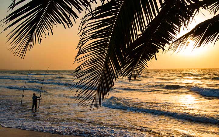 Guinée-Bissau (Ile Carache)