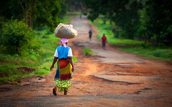 Guinée-Bissau (Ile Carache)