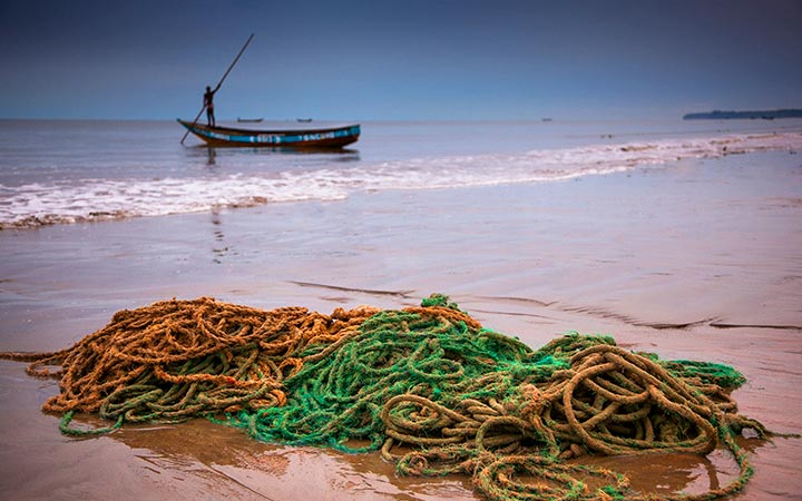 Guinée-Bissau (Ile Carache)