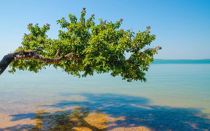 Guinée-Bissau (Ile Caravela)